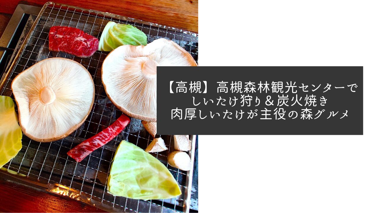 【高槻】高槻森林観光センターでしいたけ狩り＆炭火焼き｜肉厚しいたけが主役の森グルメ